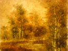 Aesthetic Paintings  CJP1101