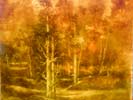 Aesthetic Paintings  CJP1104