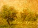 Aesthetic Paintings CJP1105