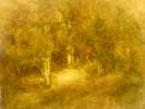 Aesthetic Paintings  CJP1106